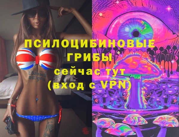 мдпв Армянск